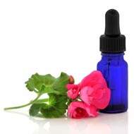 Geranium Essential  Oil