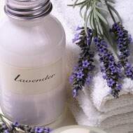 Lavender Essential Oil