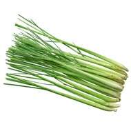 Benefits Of Lemongrass Essential Oil