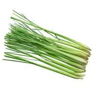 Lemongrass Essential Oil