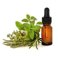 Benefits Of Marjoram Essential Oil