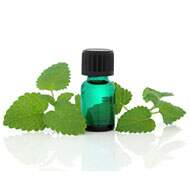 Melissa Oil (Officinalis)