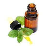 Peppermint Essential Oil